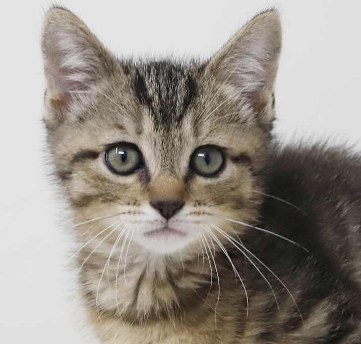 Photo of Kammi