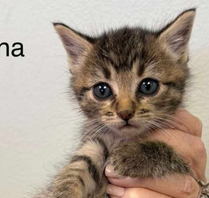Photo of Fiona