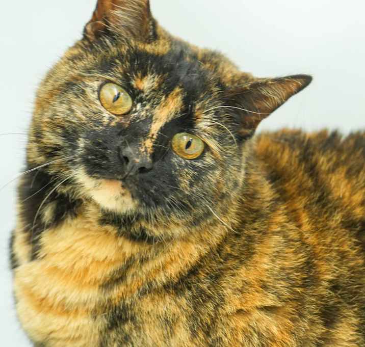 Photo of Jasmine
