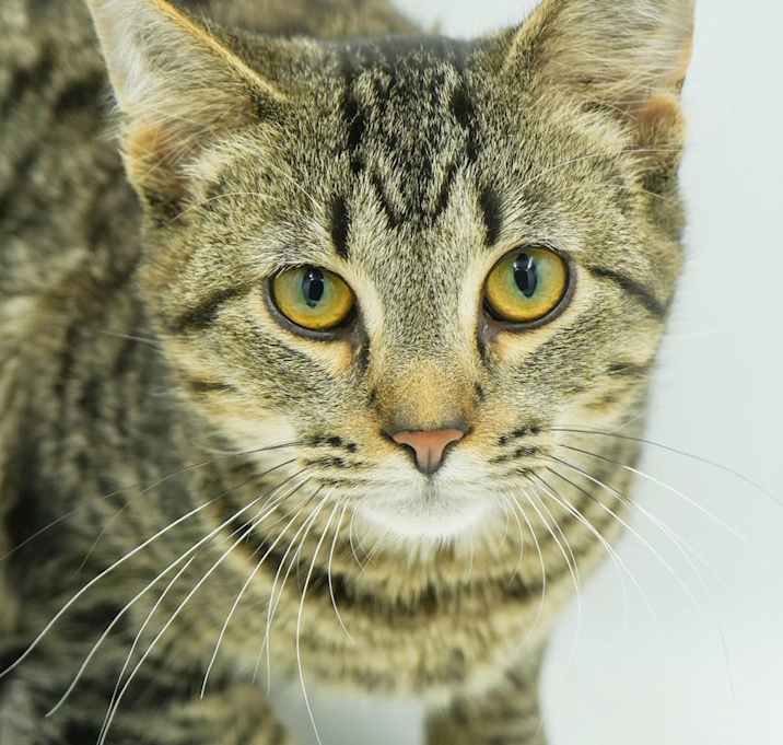 Photo of AJ