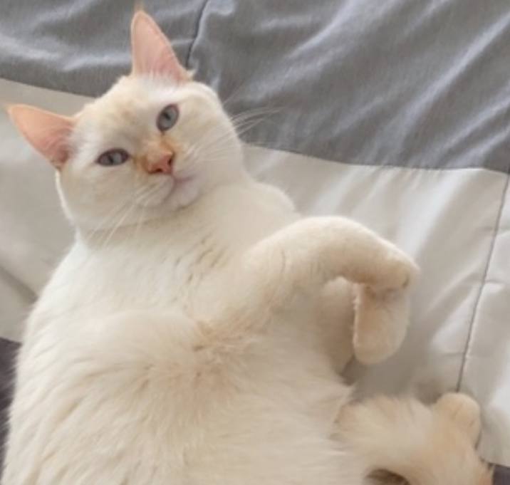 Photo of Finn