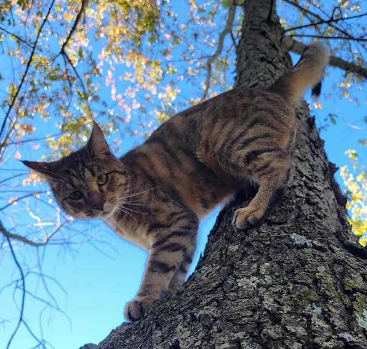 Photo of Lucy