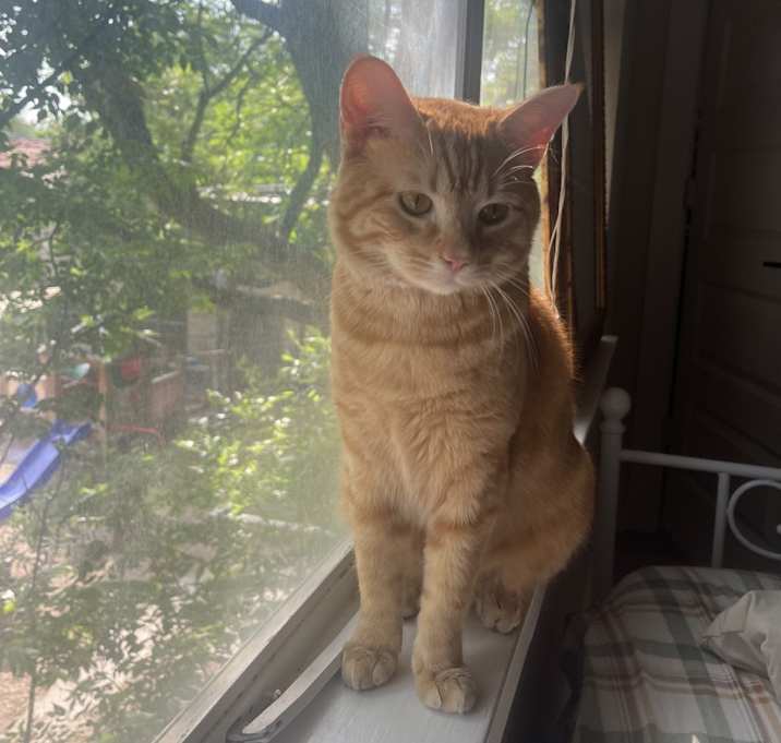 Photo of Franklin