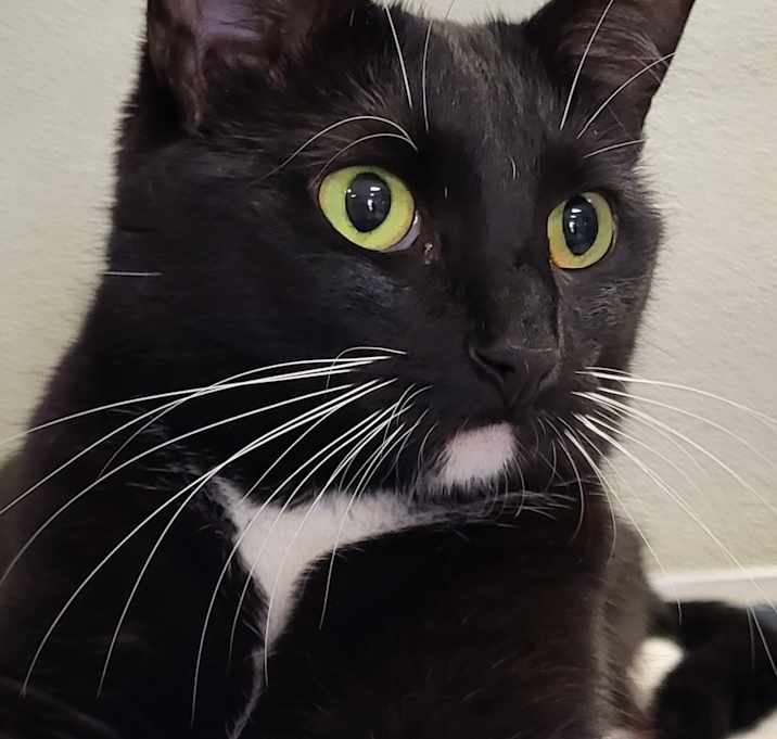 Photo of Bianca
