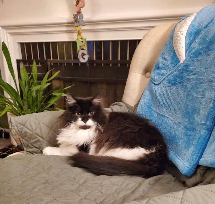 Photo of Pearl