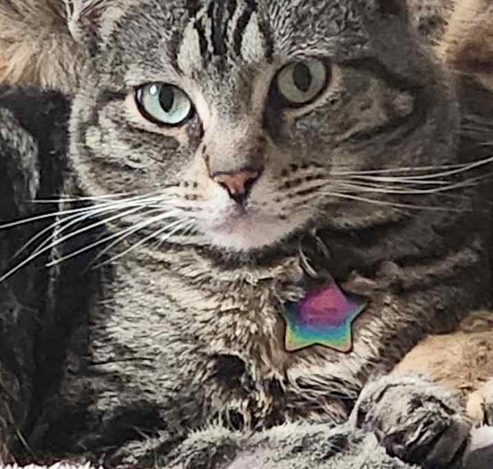 Photo of Willow