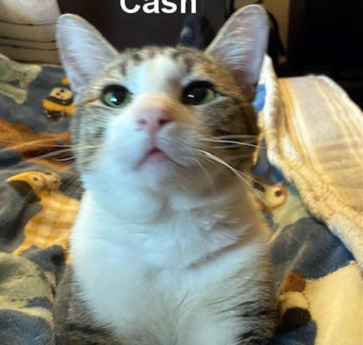 Photo of Cash