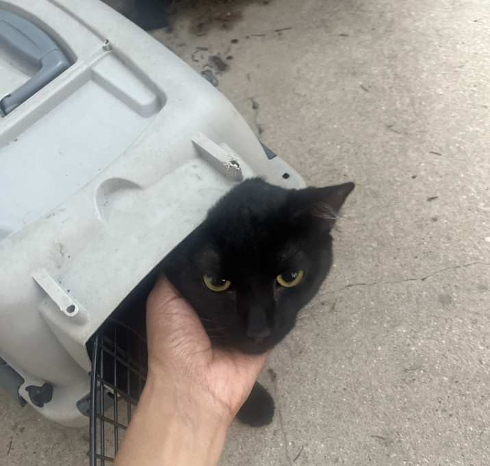 Photo of Salem