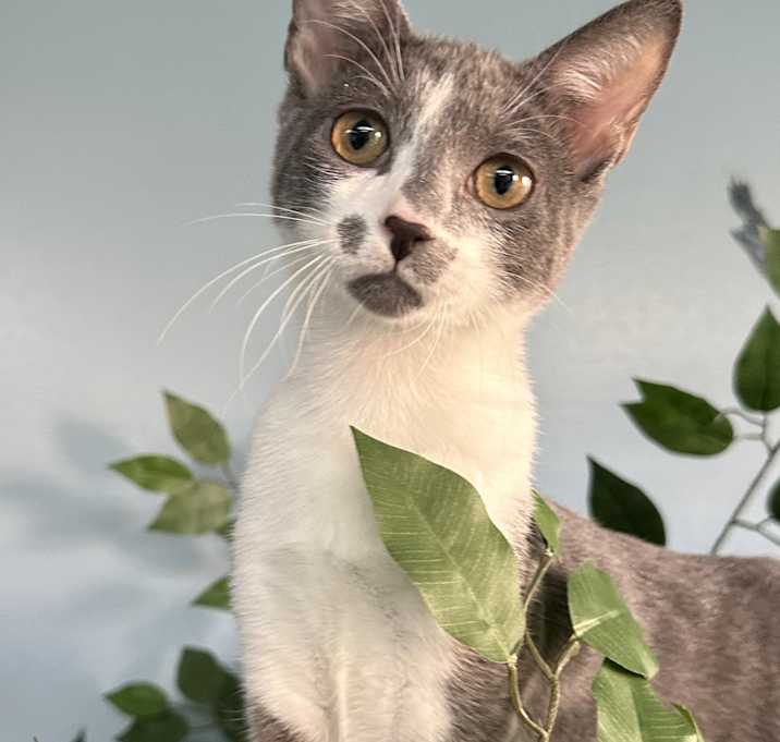 Photo of Esme