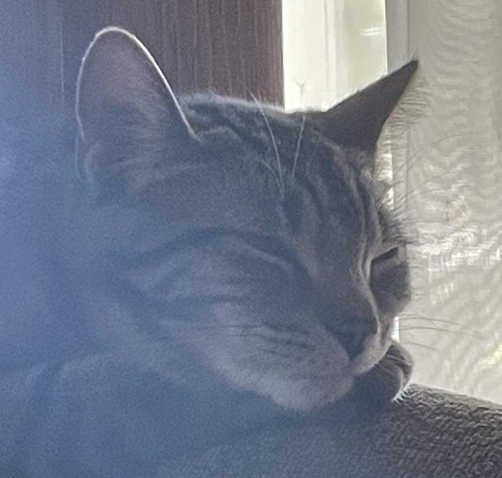 Photo of Maahes
