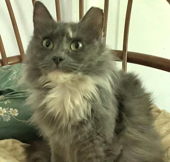 Photo of Evangeline
