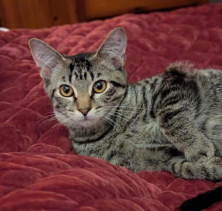 Photo of Lady Sara