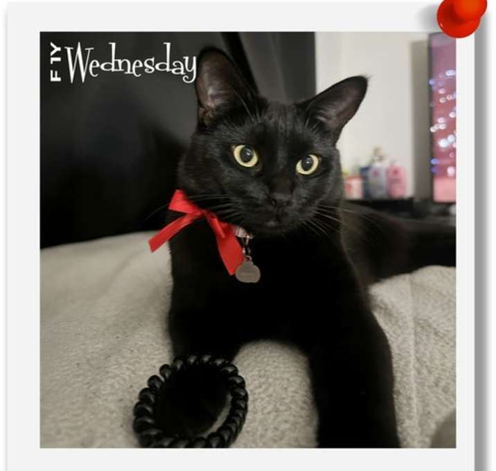 Photo of Wednesday