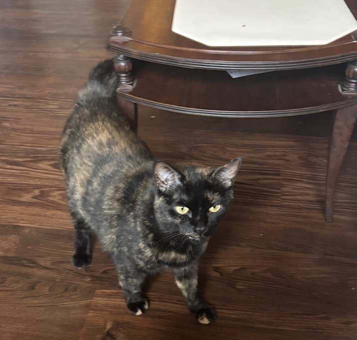 Photo of Precious