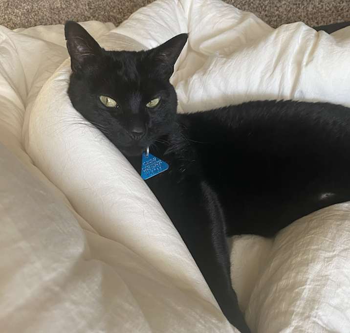 Photo of Squeak