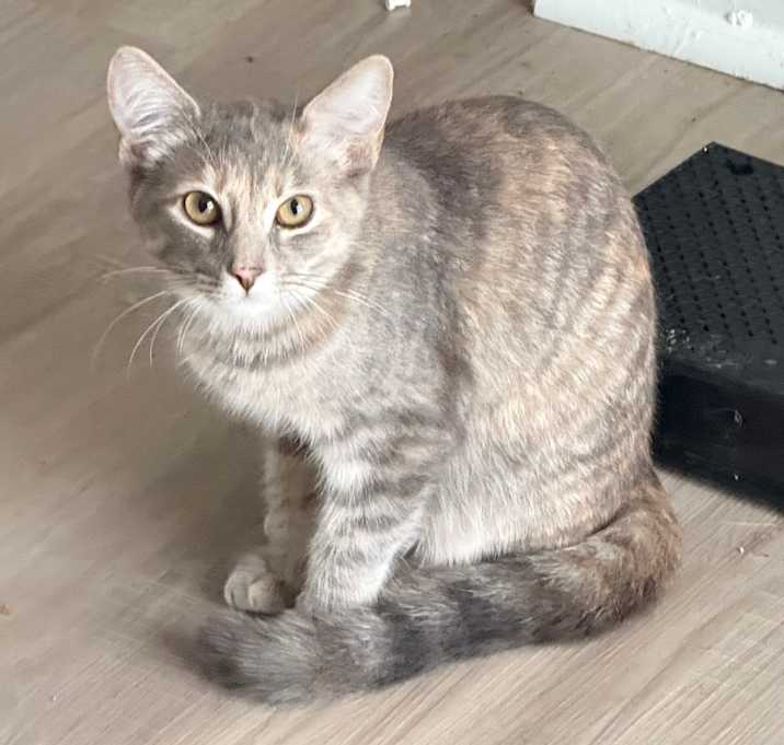 Photo of Baby