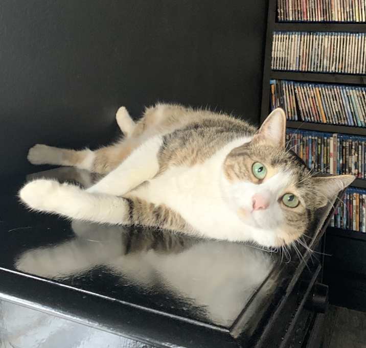 Photo of Ripley