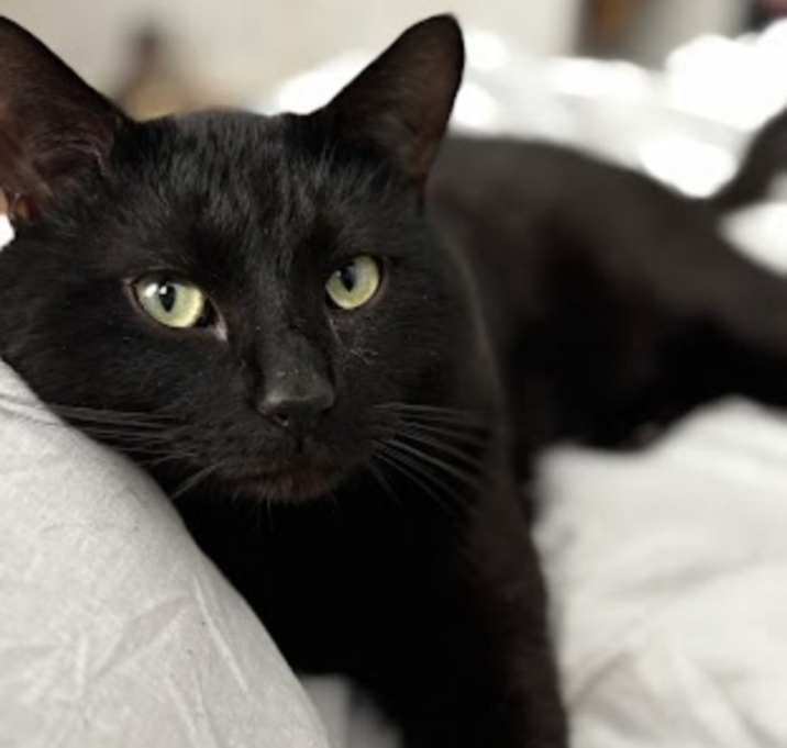 Photo of Ghost