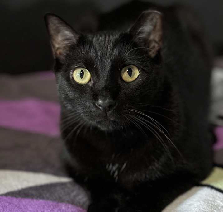Photo of Severus