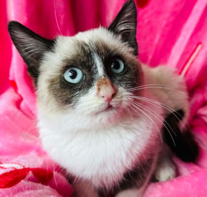 Photo of Carina