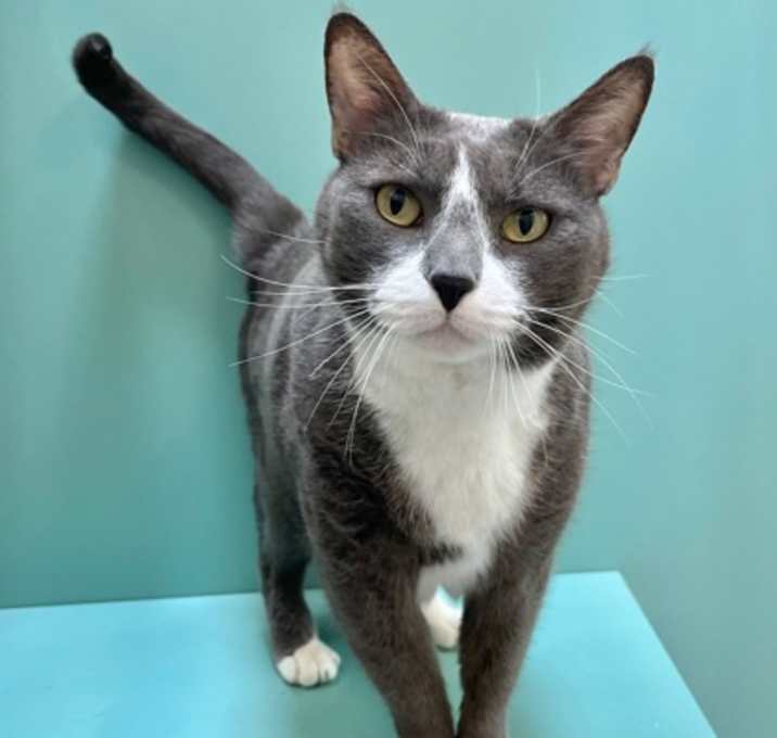 Photo of Kiki