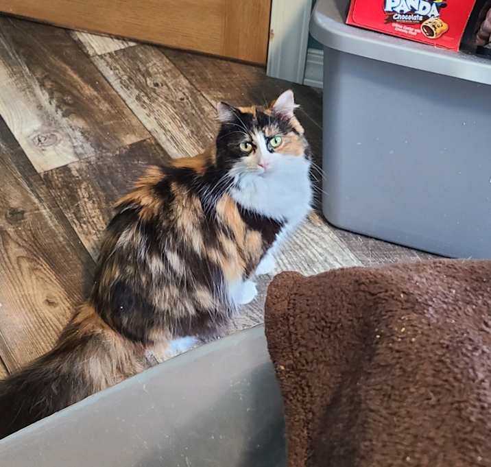 Photo of Mabel