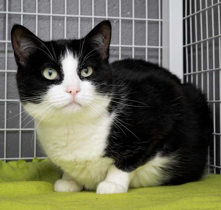 Photo of Nellie