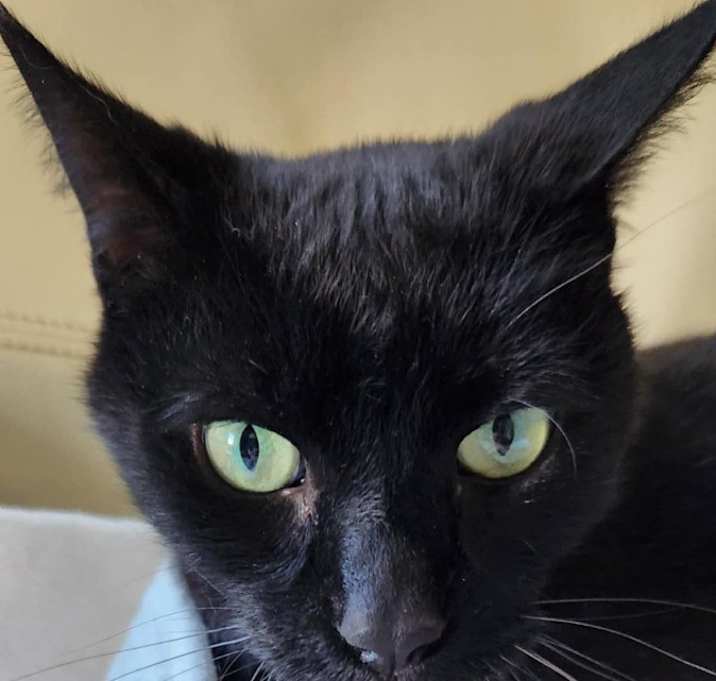 Photo of Jasmine
