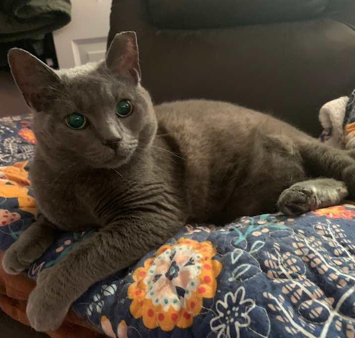 Photo of Dolly