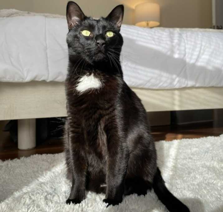 Photo of Lucy