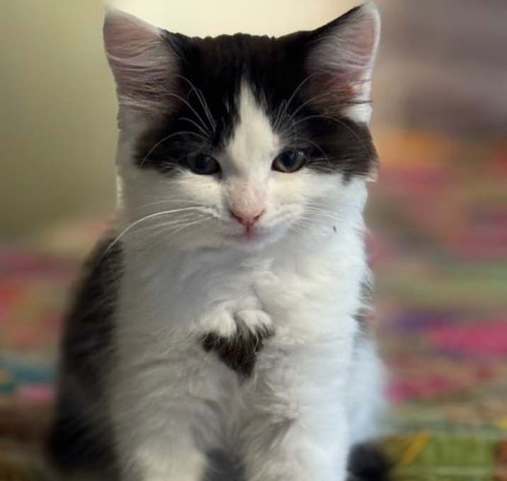 Photo of Kefir