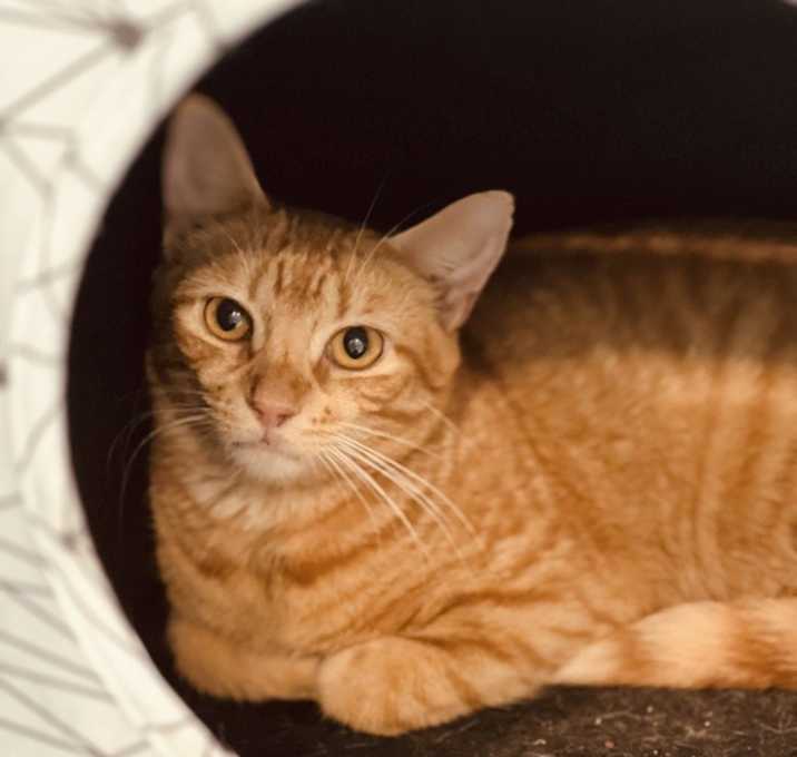 Photo of Boris