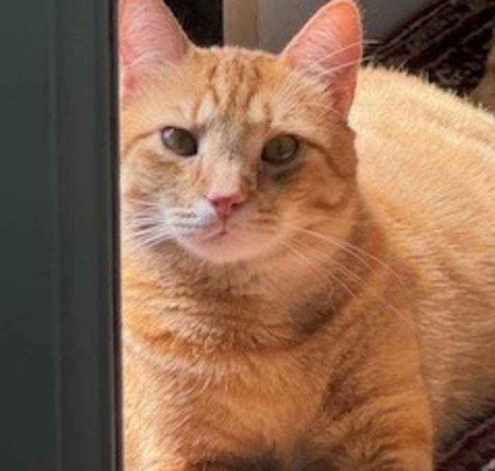 Photo of Bubby