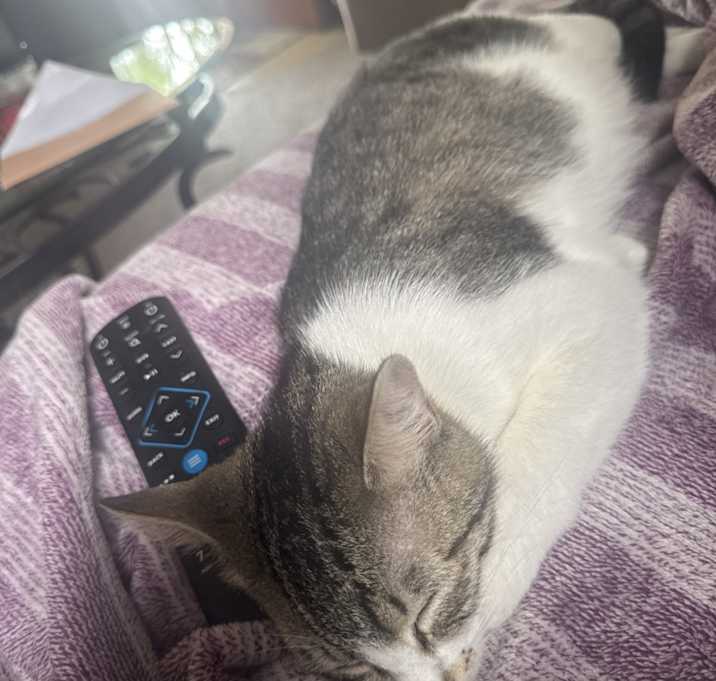 Photo of Baby Boots