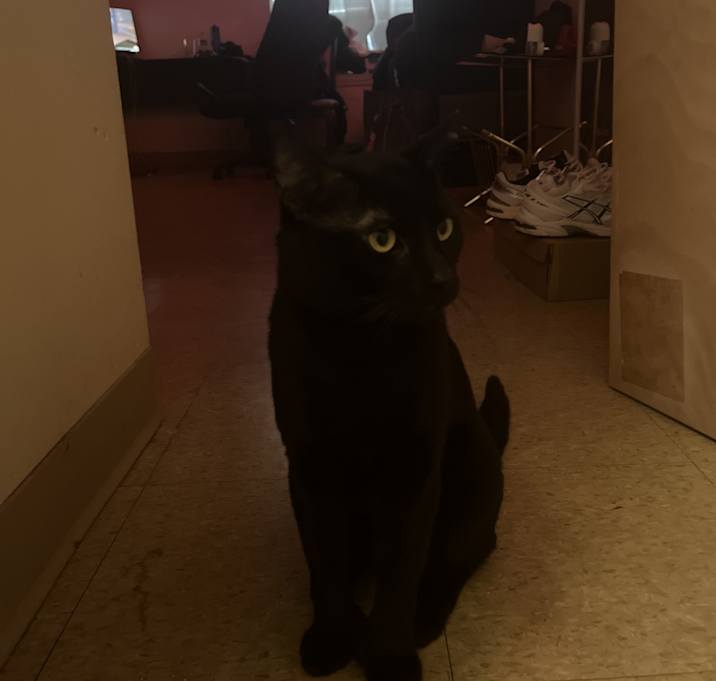Photo of Riley