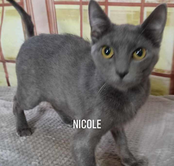 Photo of Nicole