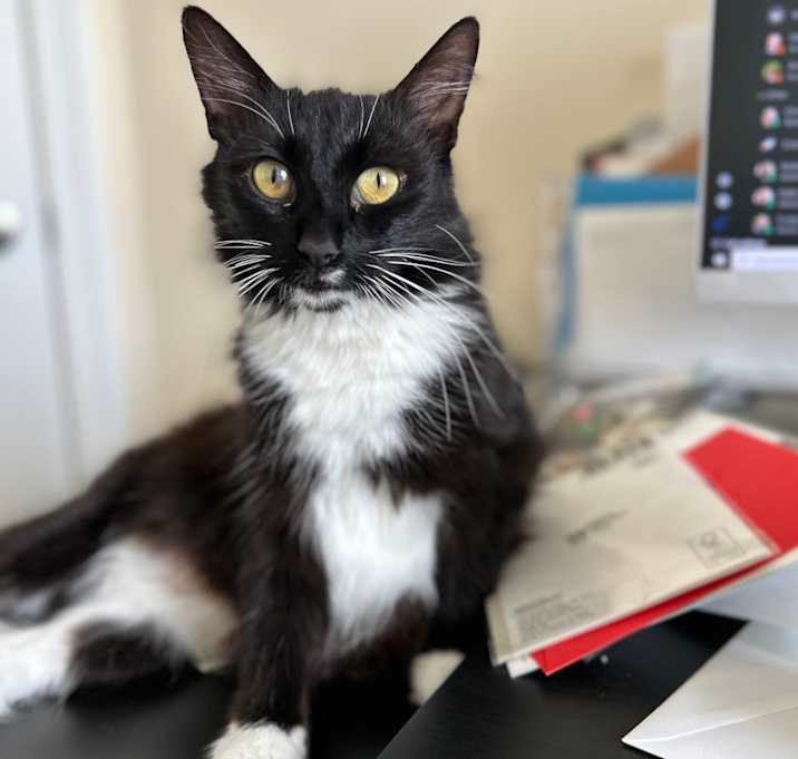 Photo of Sylvia