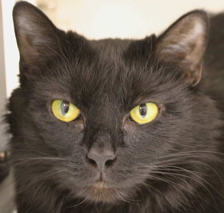 Photo of Holly 