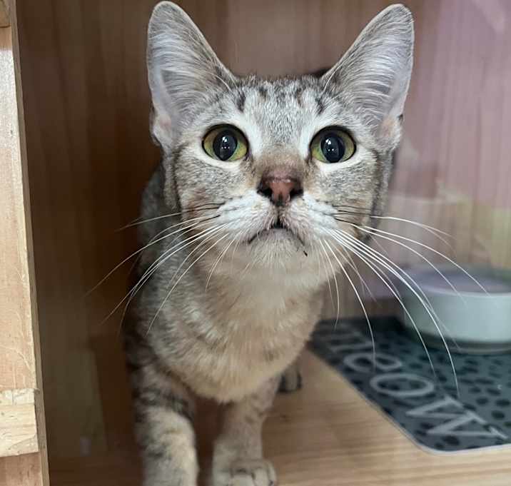 Photo of Chili