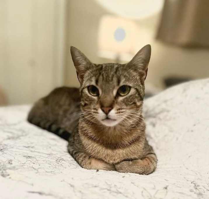 Photo of Macey