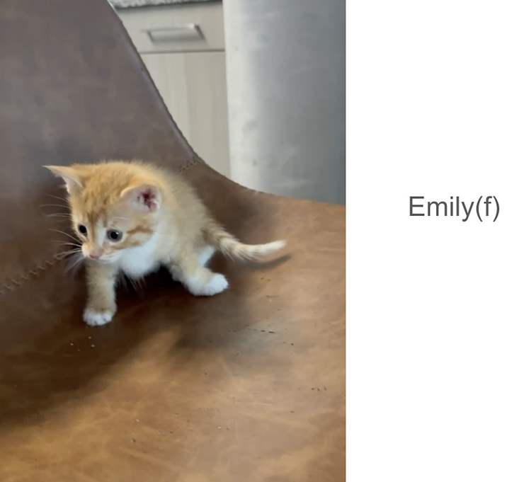 Photo of Emily