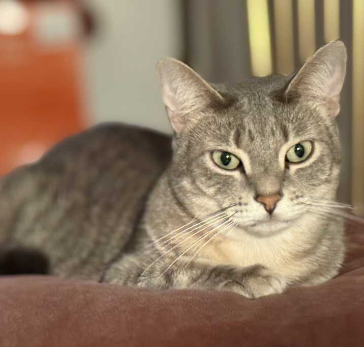 Photo of Maxwell