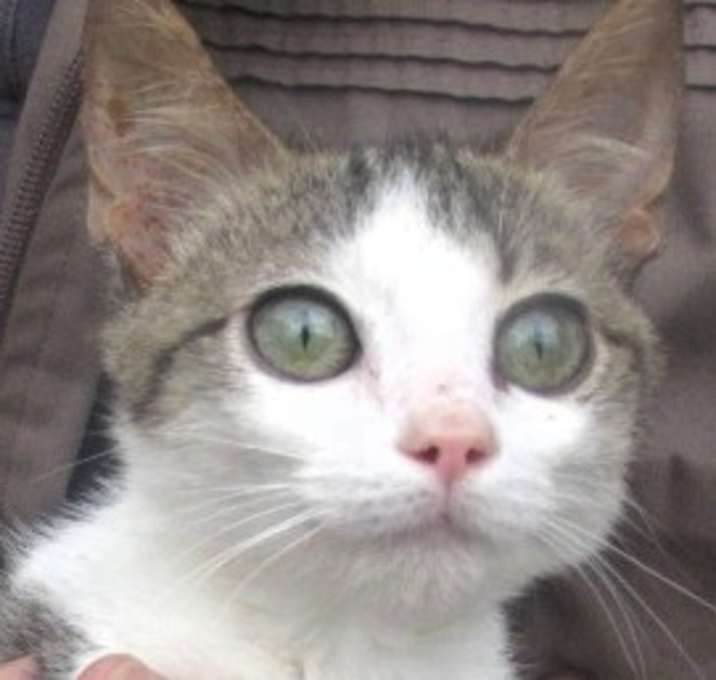 Photo of Petry