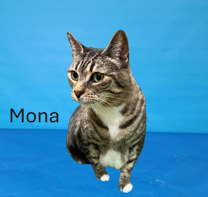 Photo of Mona