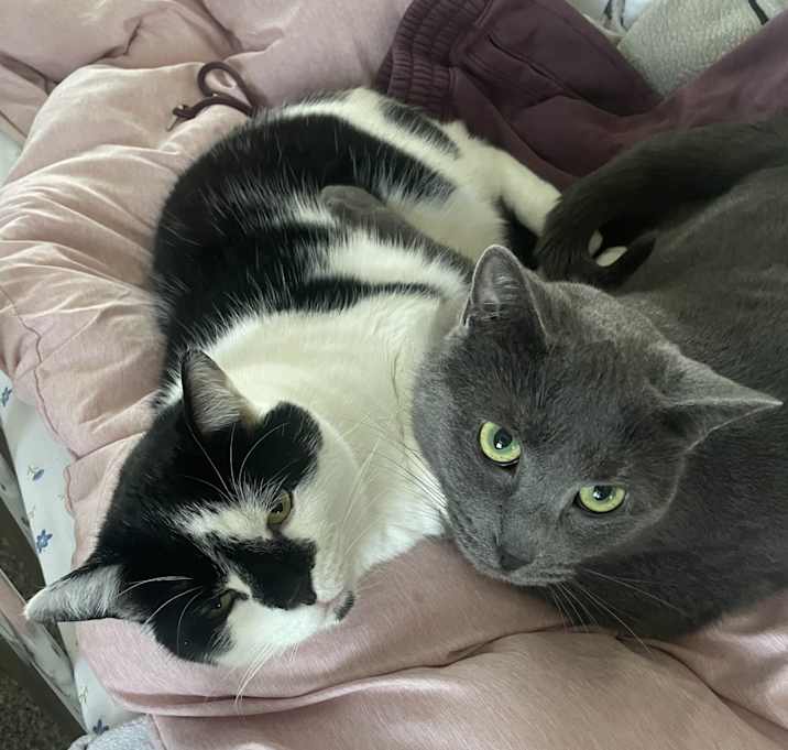 Photo of Max & Meeka
