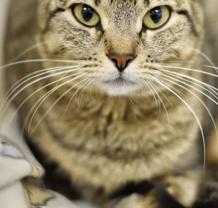Photo of Lorelai