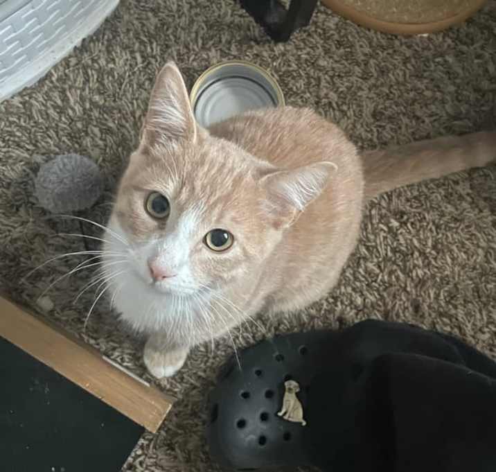 Photo of Rex