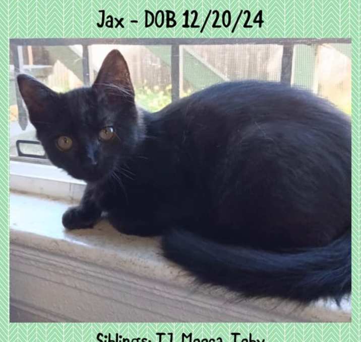 Photo of Jax