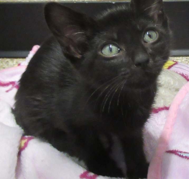 Photo of Baby
