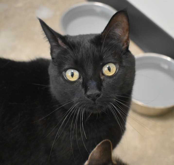 Photo of Luna*